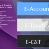 BAT and Accounting Program with Placements by SLA Consultants